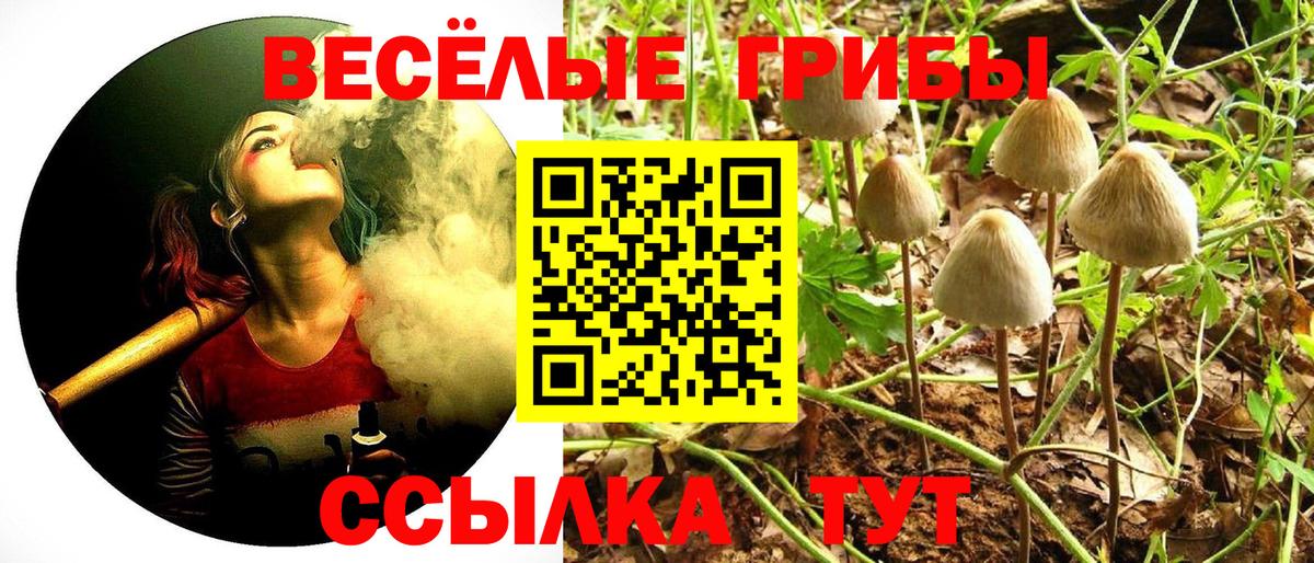 Псилоцибиновые грибы ЛСД  закладка  Туапсе  Вход с VPN 