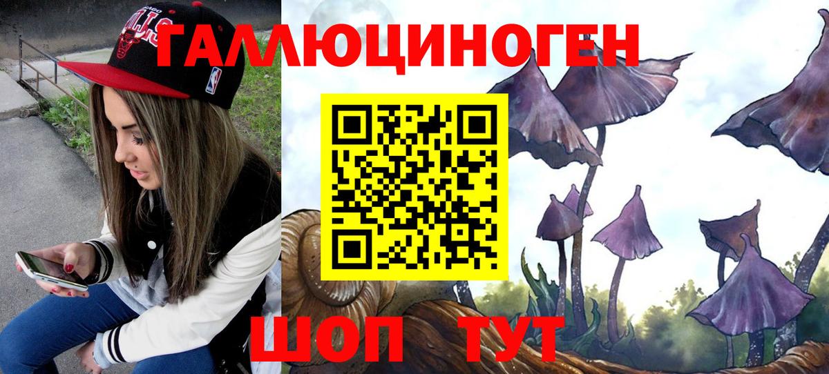 Галлюциногенные грибы Magic Shrooms Туапсе
